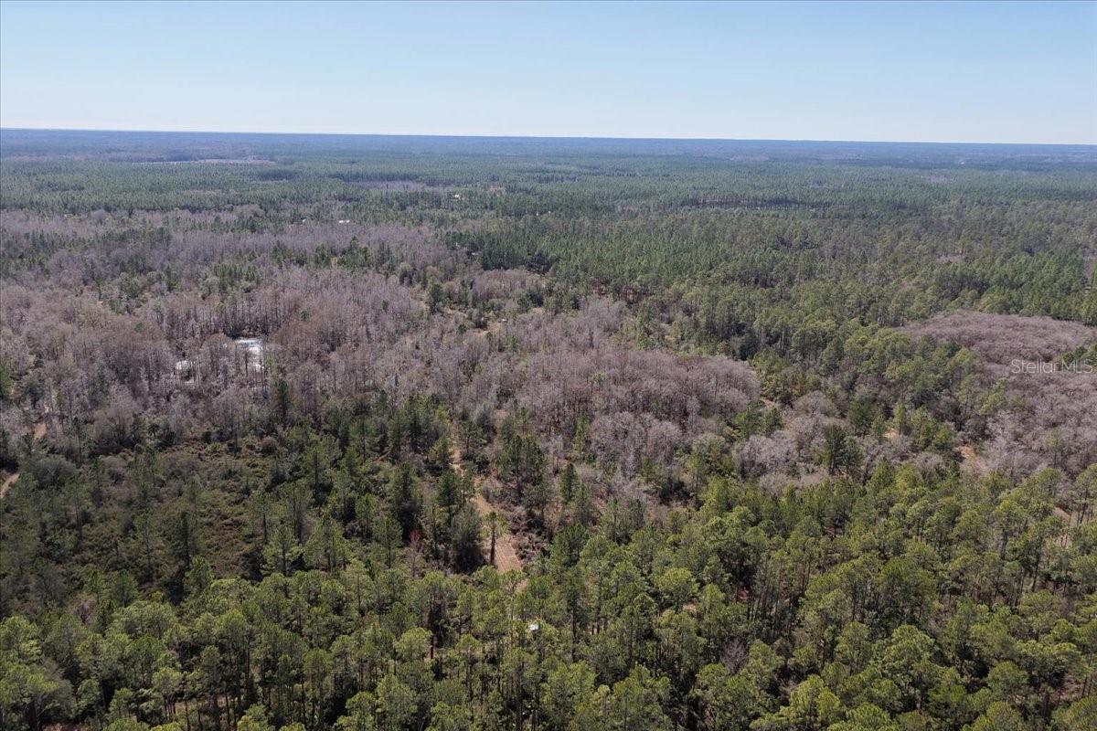 60 Acres Nw Clyatt Road Property Photo 56