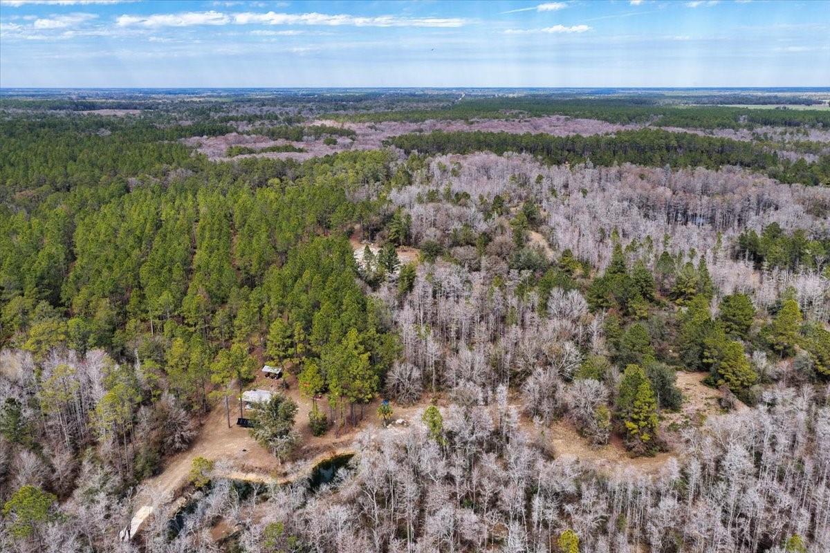 60 Acres Nw Clyatt Road Property Photo 57