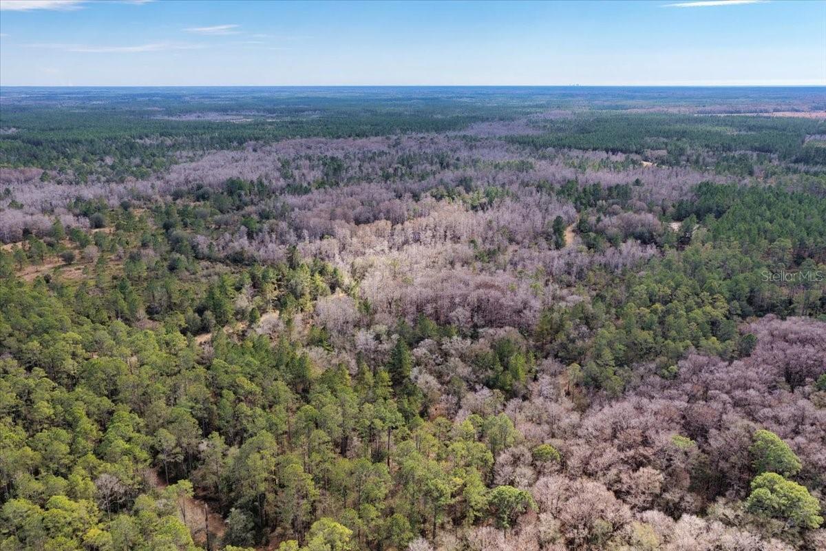 60 Acres Nw Clyatt Road Property Photo 58