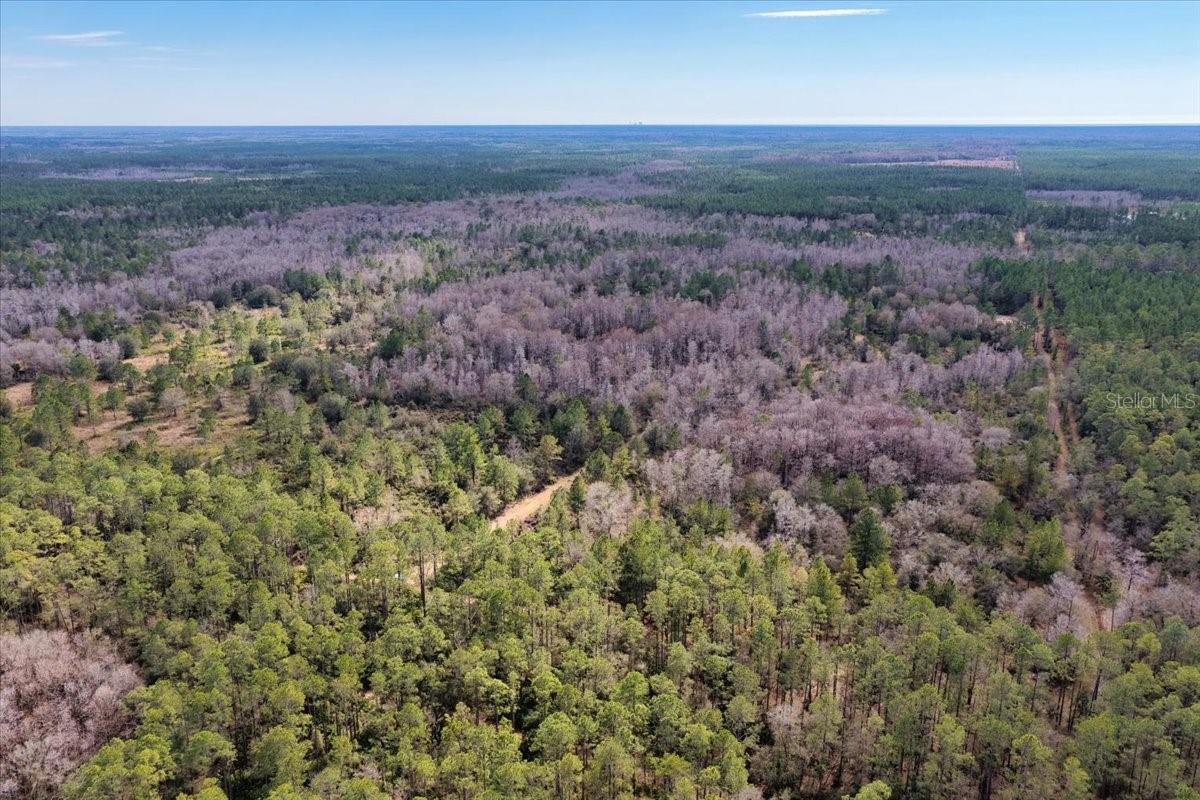 60 Acres Nw Clyatt Road Property Photo 59