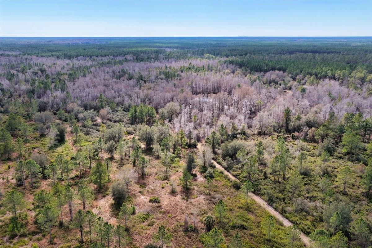60 Acres Nw Clyatt Road Property Photo 60