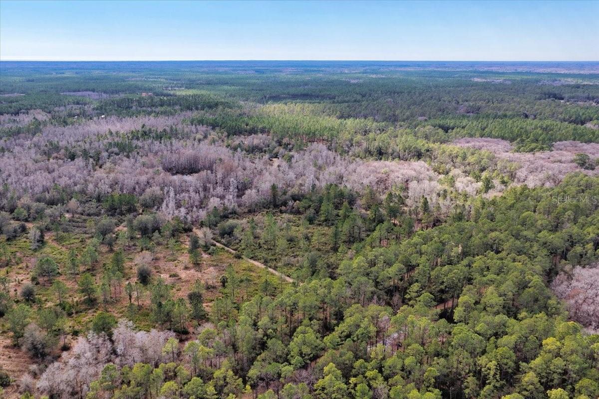 60 Acres Nw Clyatt Road Property Photo 61