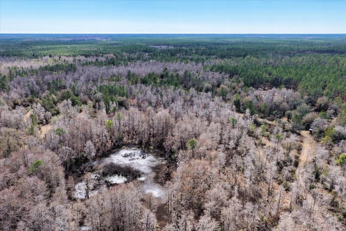 60 Acres Nw Clyatt Road Property Photo 62