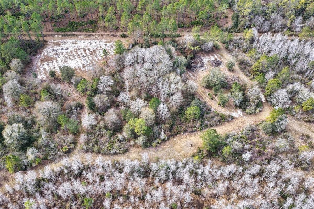60 Acres Nw Clyatt Road Property Photo 64
