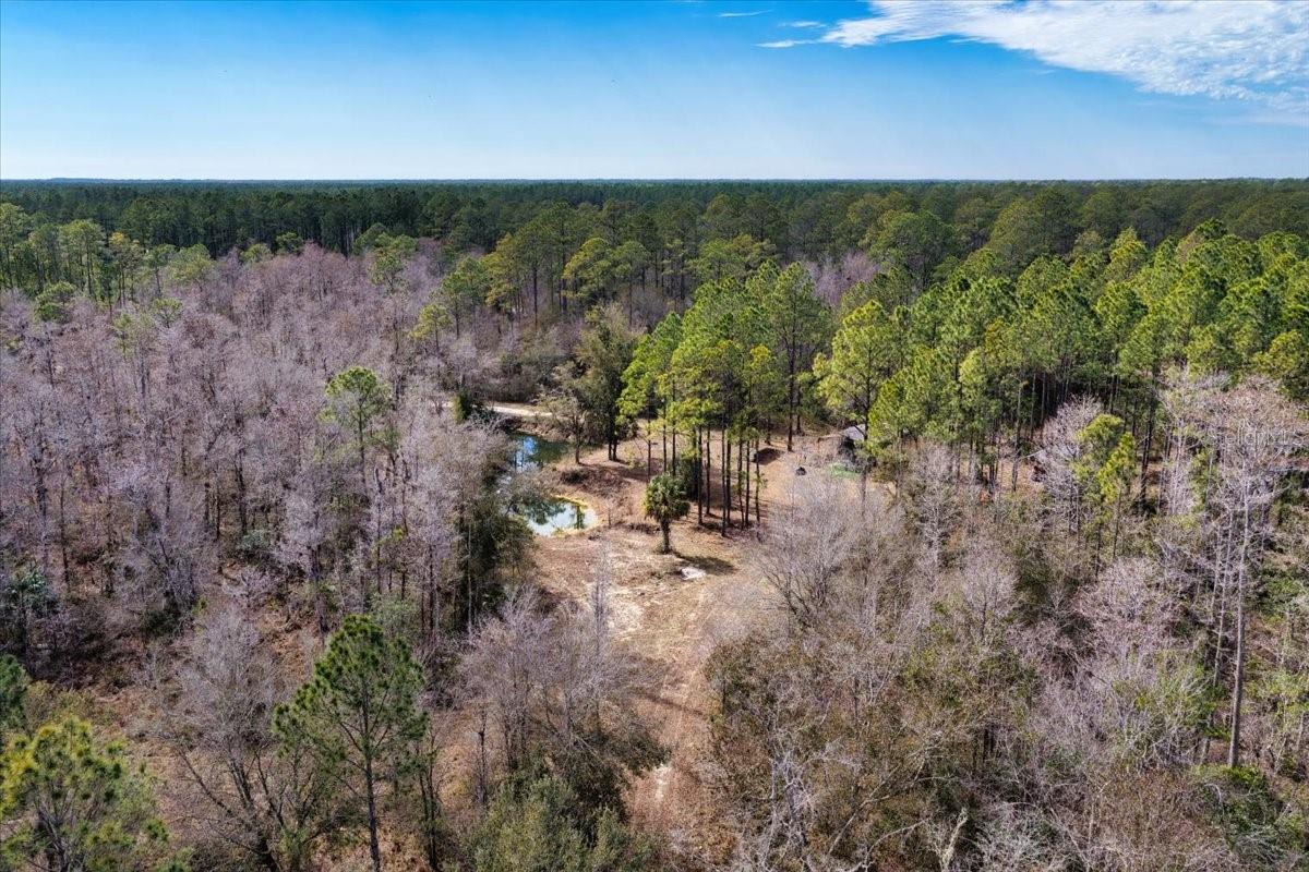 60 Acres Nw Clyatt Road Property Photo 65