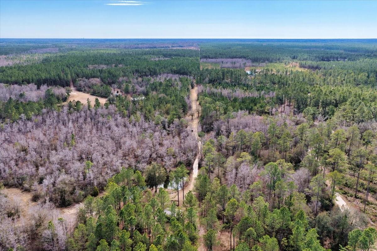 60 Acres Nw Clyatt Road Property Photo 67