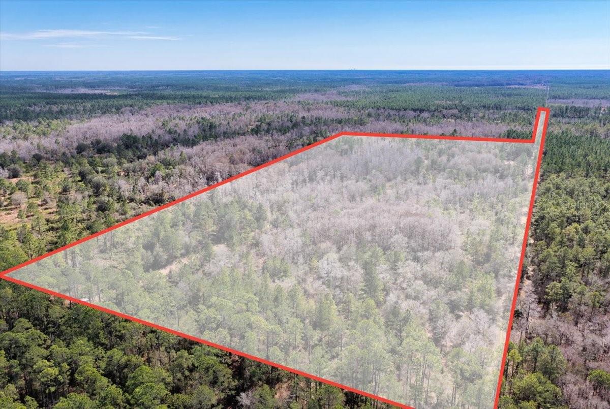 60 Acres Nw Clyatt Road Property Photo 70