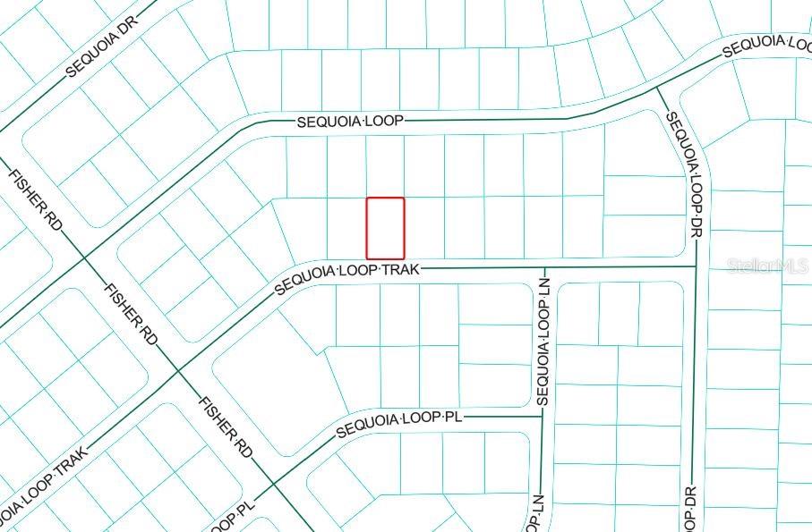 Sequoia Loop Trak Property Photo 1