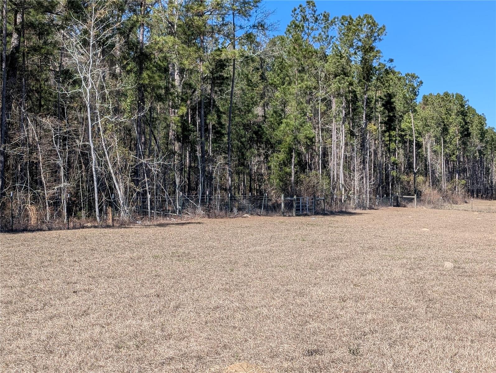 4052 Us 431 Property Photo 17