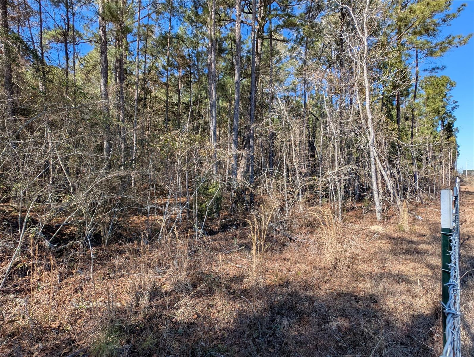 4052 Us 431 Property Photo 18