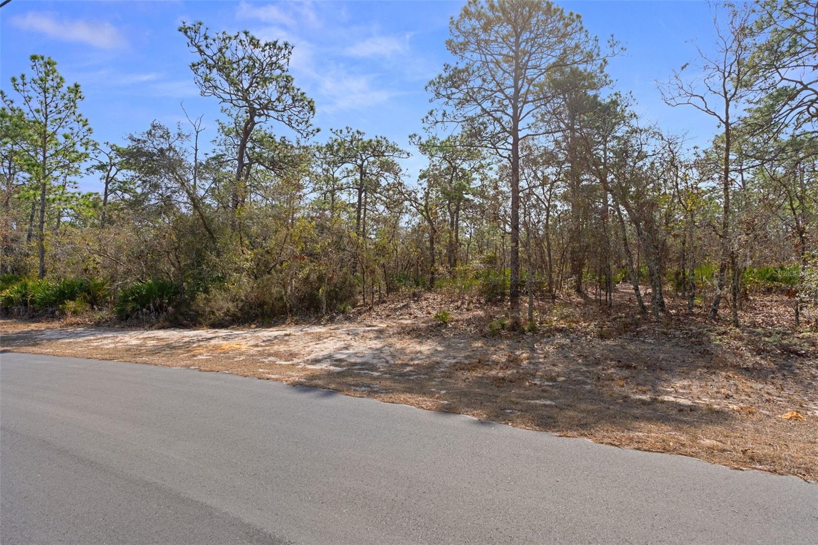 4976 W Yearling Dr Property Photo 6