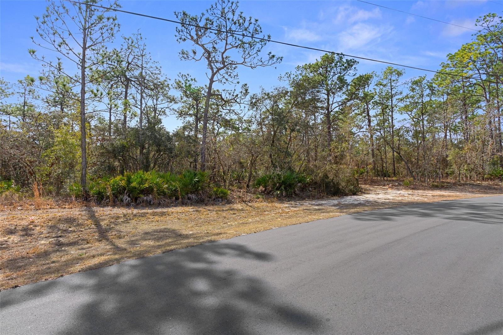 4976 W Yearling Dr Property Photo 7