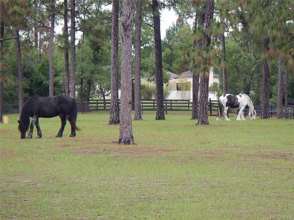 4976 W Yearling Dr Property Photo 21