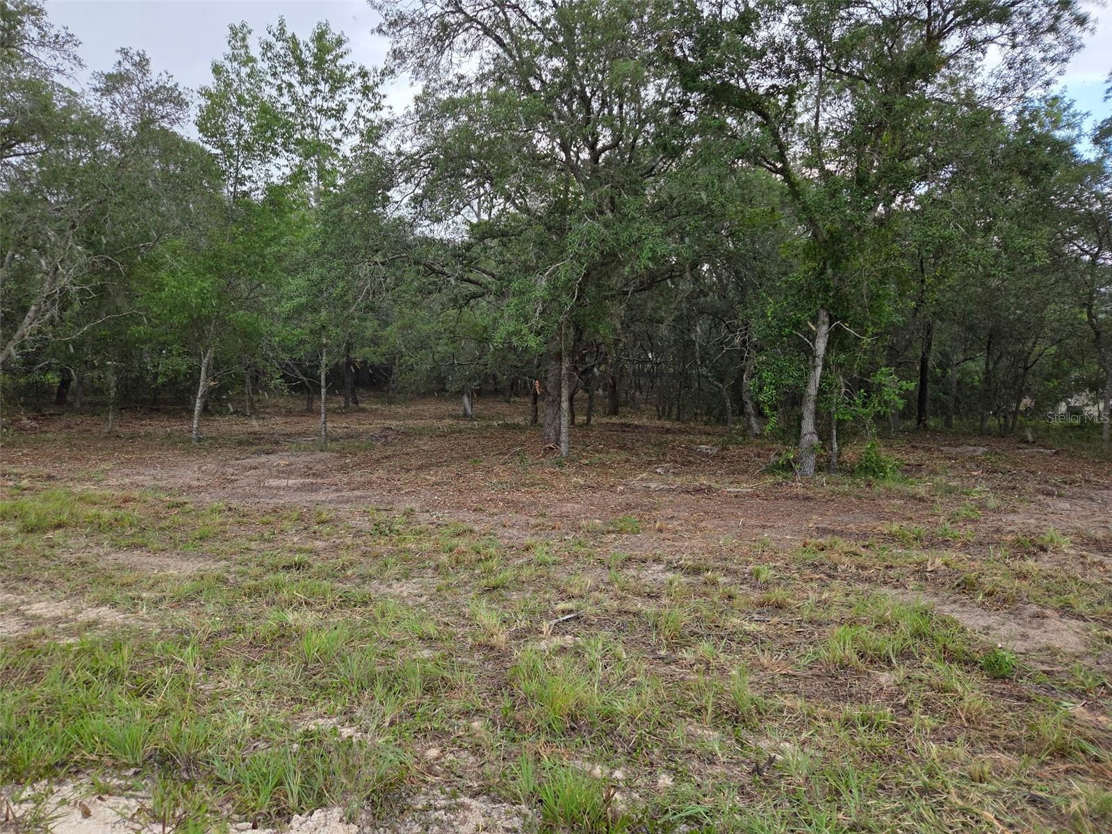 21531 Se 68th Ln Property Photo 4