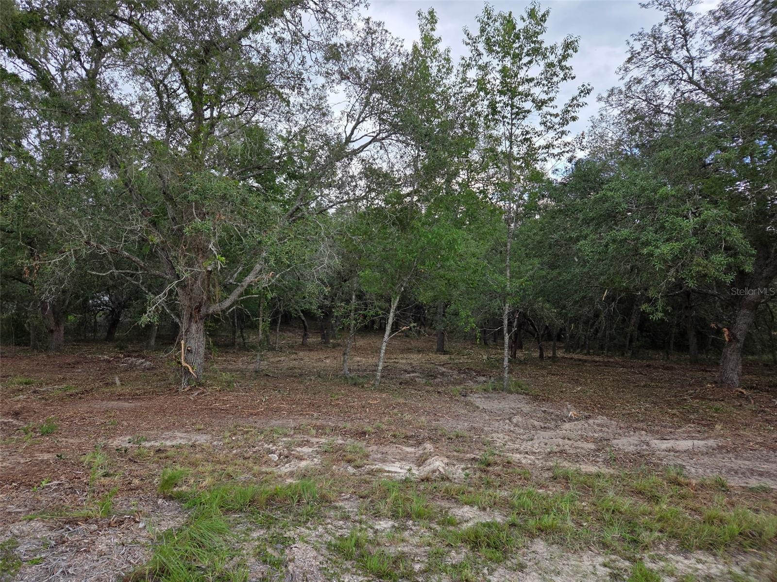 21531 Se 68th Ln Property Photo 10