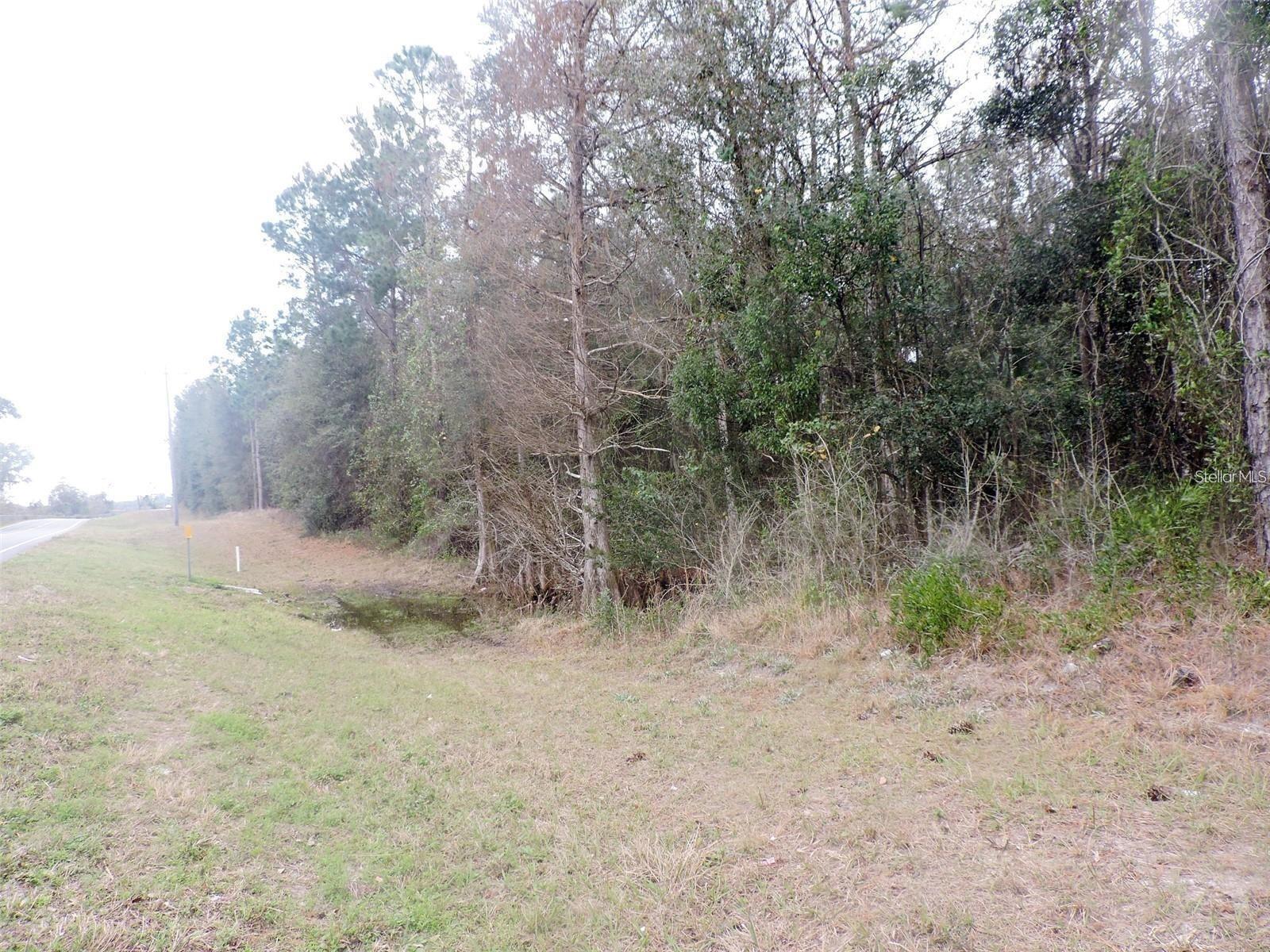 Tbd N State Road 21 Property Photo 1