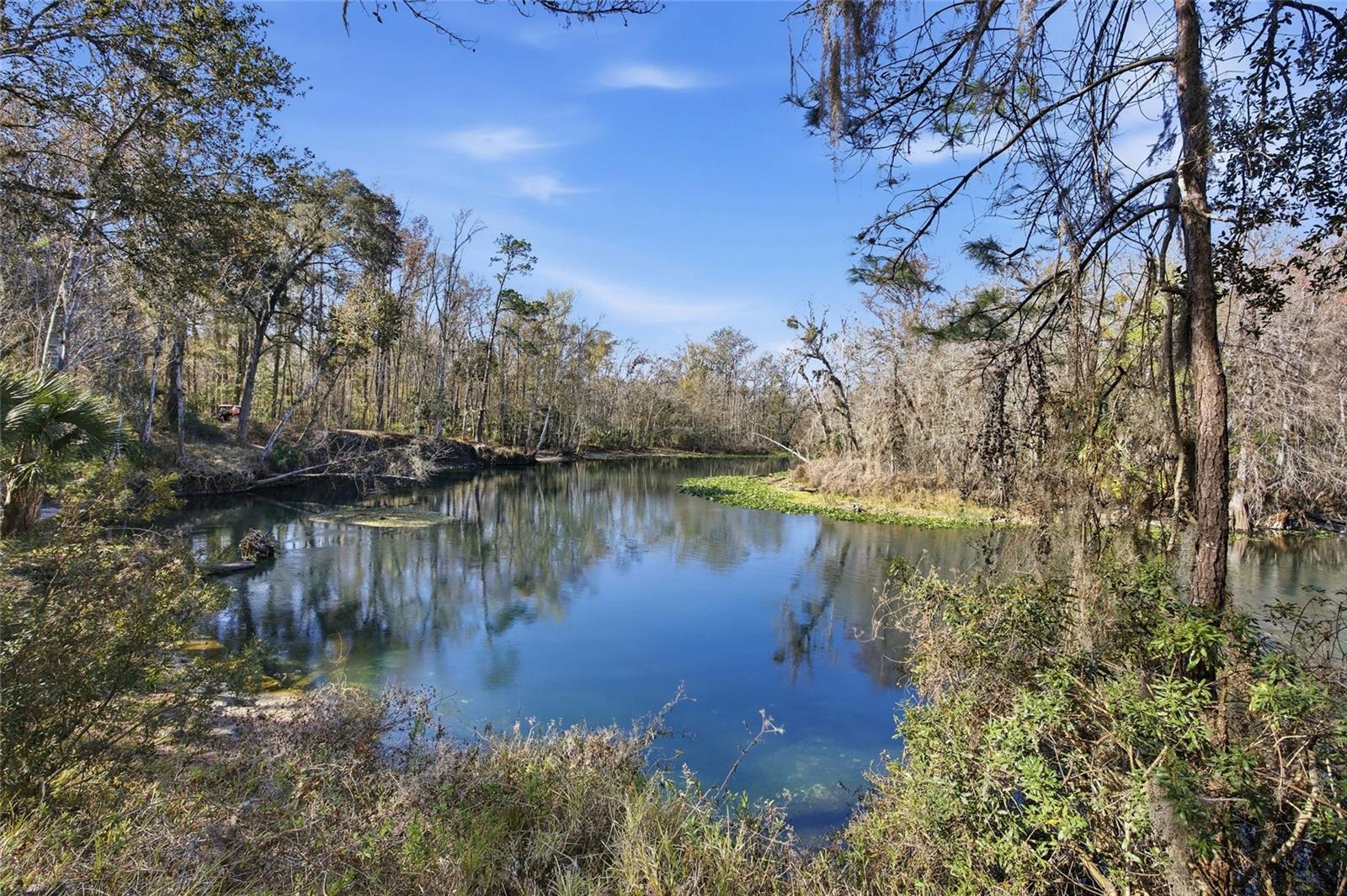 10226 Ne 28th Loop #lot 62 Property Photo 15