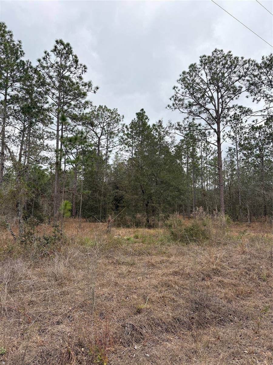1159 Nw Redwood Dr Property Photo 3