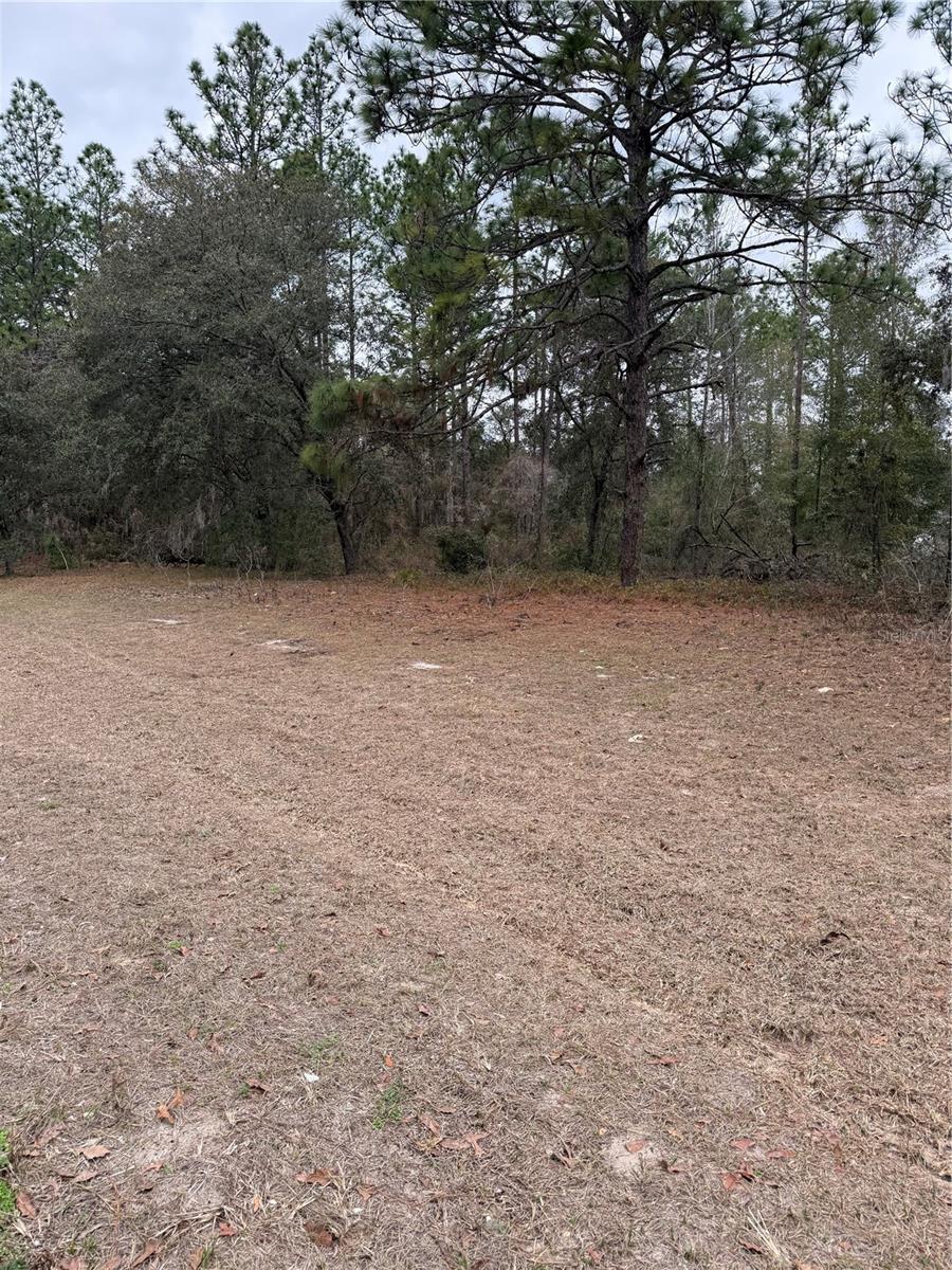 Sw 135th Loop Property Photo 3