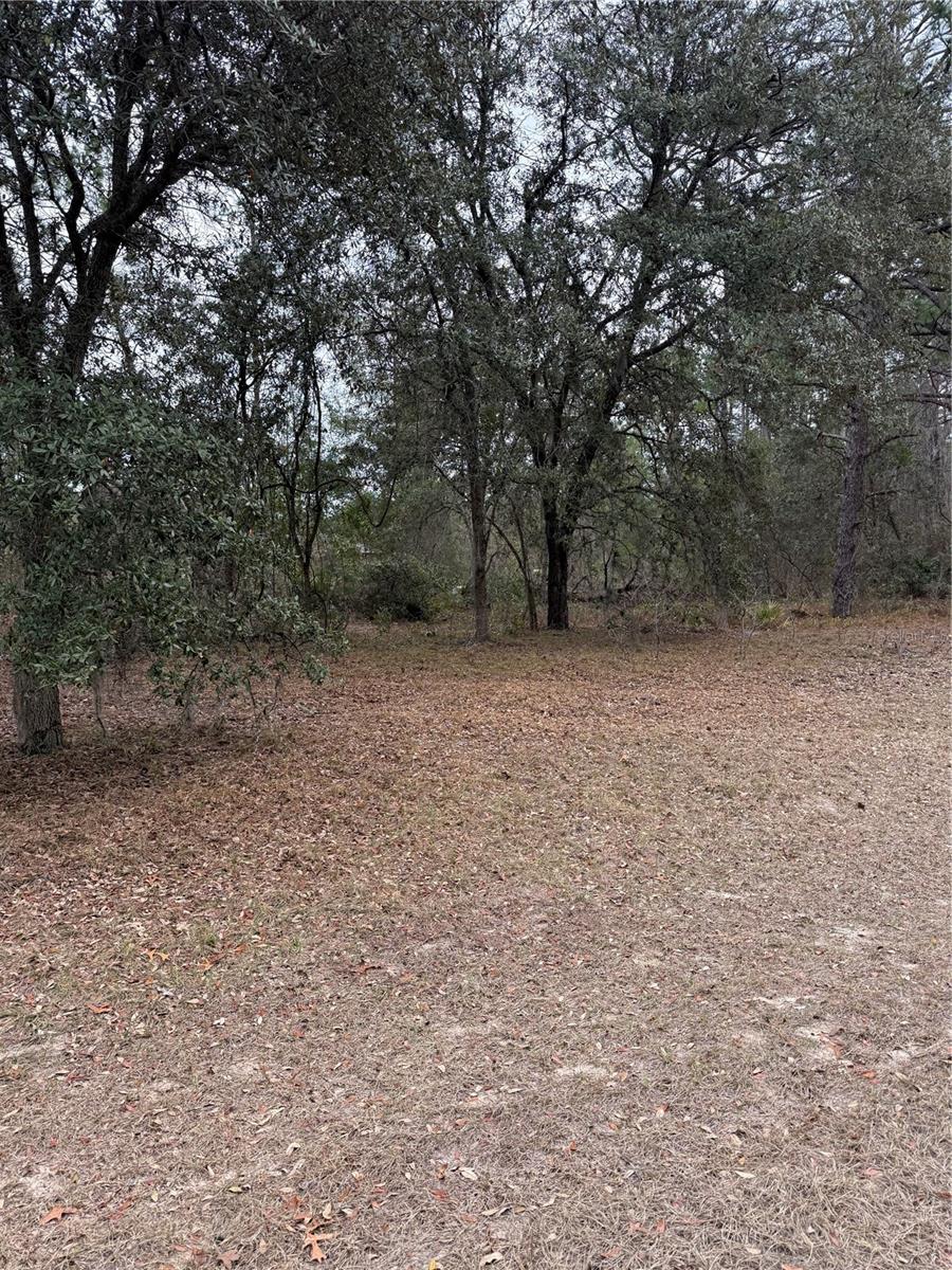 Sw 135th Loop Property Photo 6