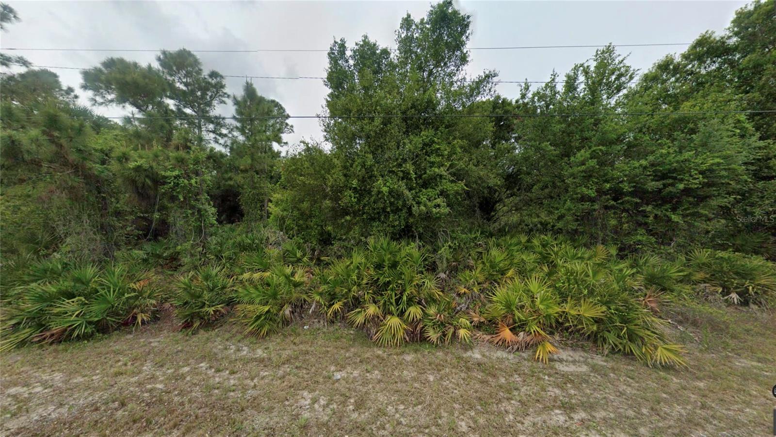 519 BROADWAY AVE Property Photo 1