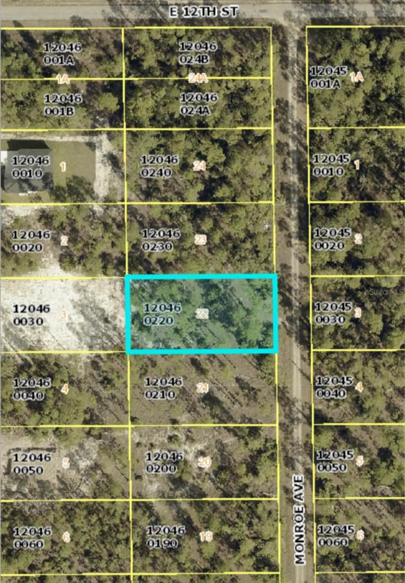1119 MONROE AVE Property Photo 1