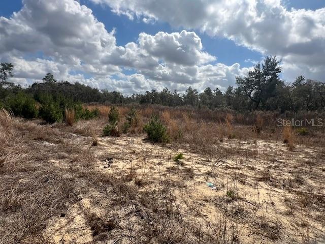 351 Marion Oaks Blvd Property Photo 4