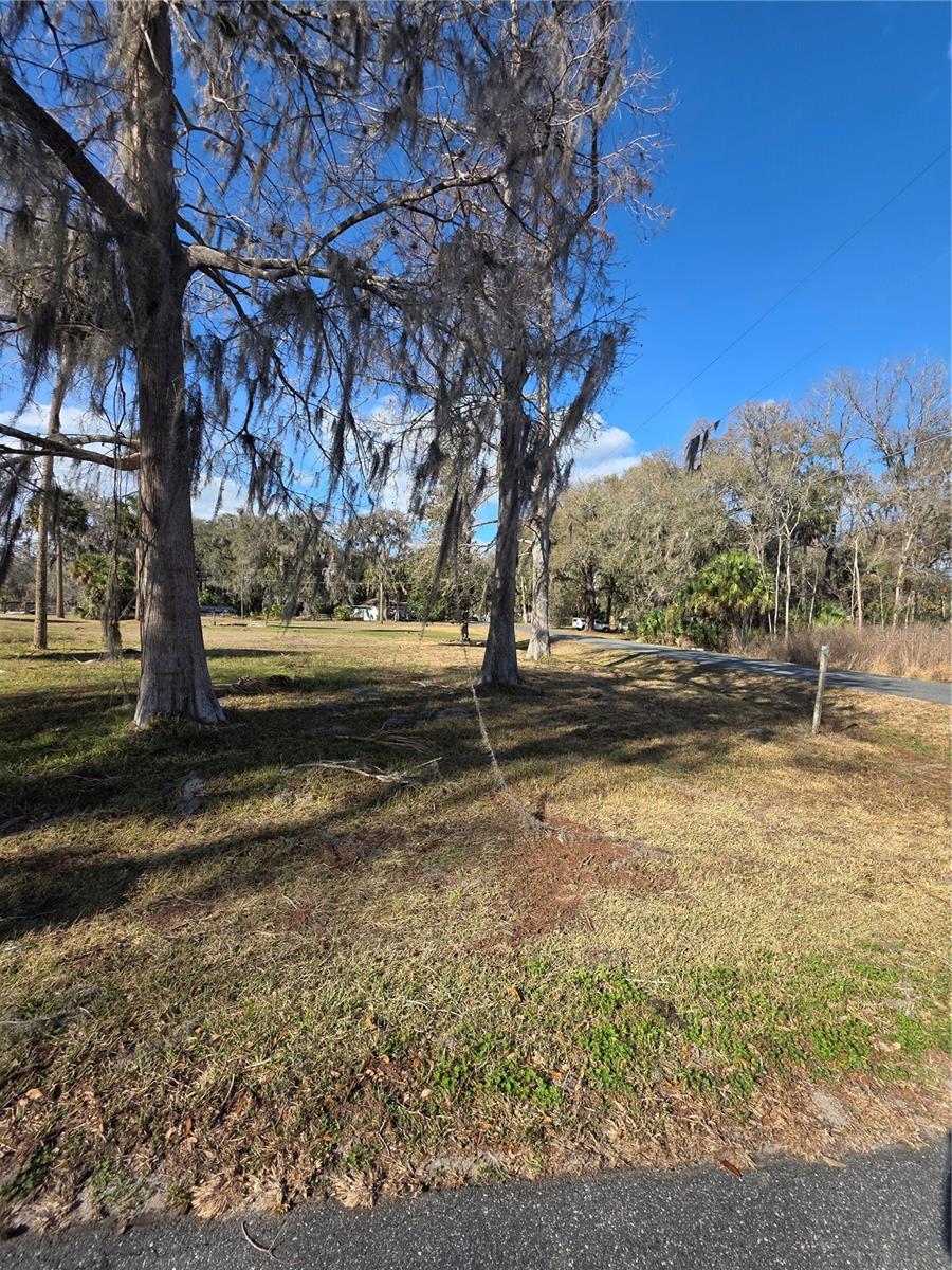 Tbd Cr 426 Property Photo 3