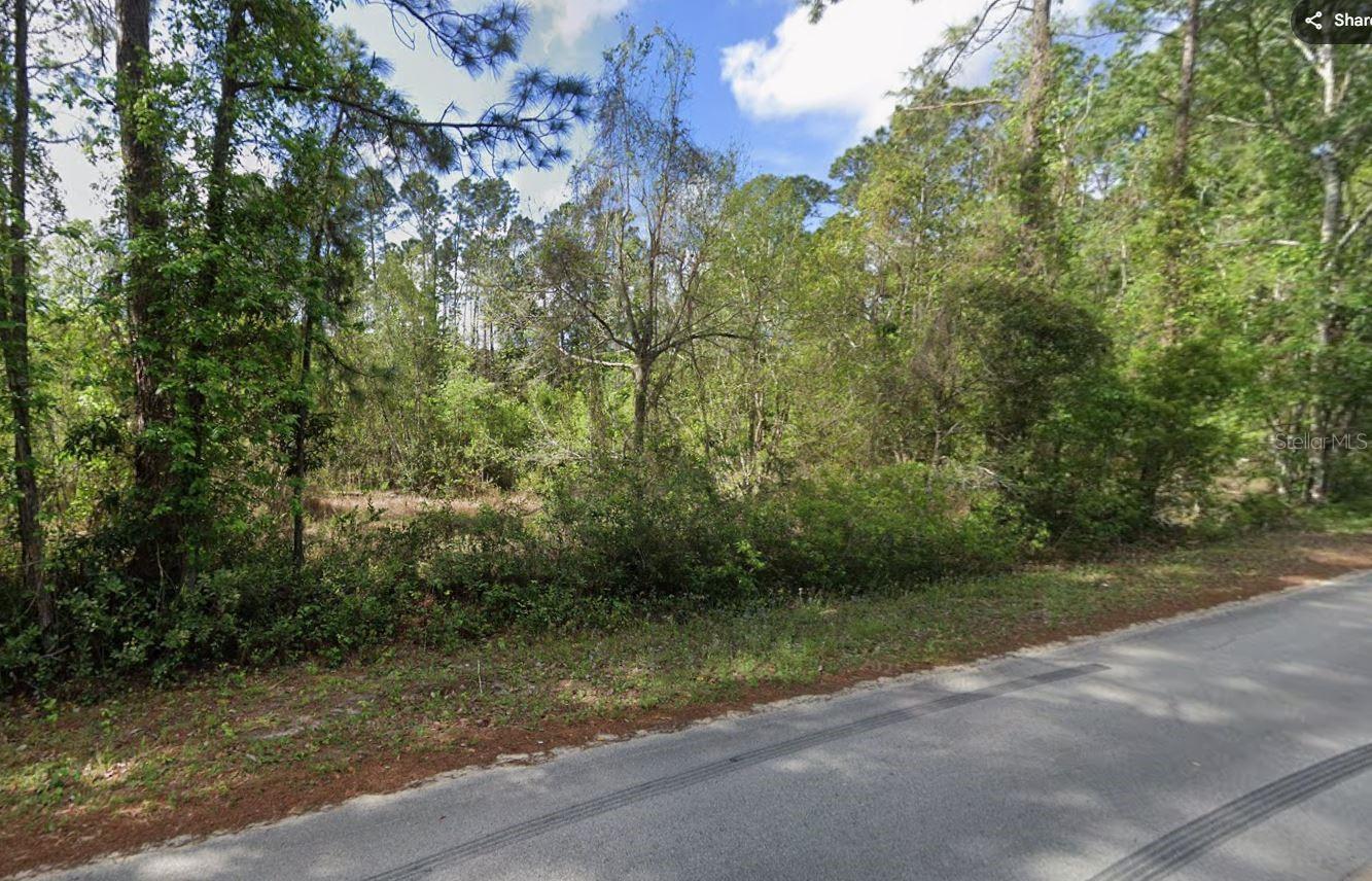 505 Hickory Nut Trl Property Photo 1