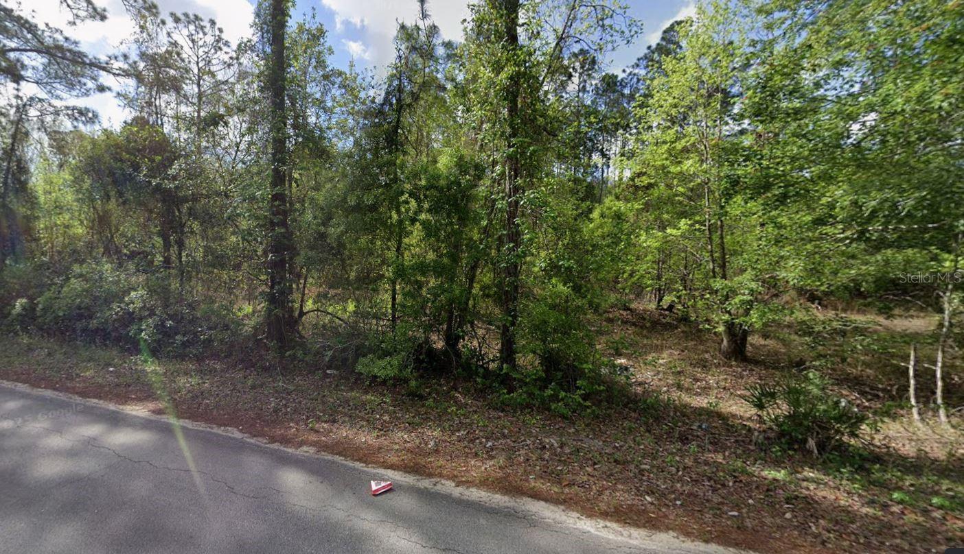 505 Hickory Nut Trl Property Photo 2