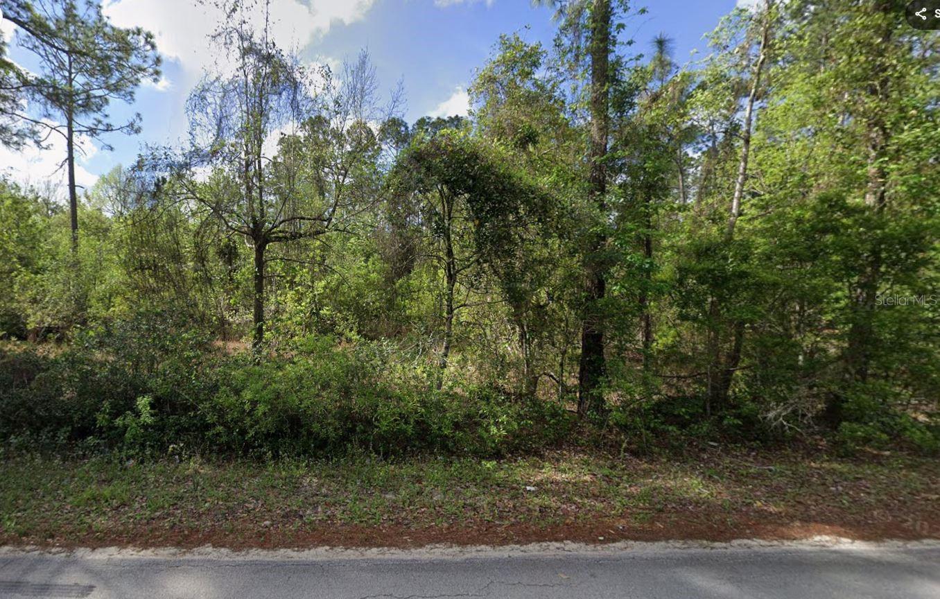 505 Hickory Nut Trl Property Photo 3