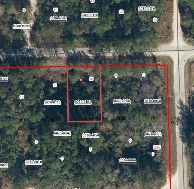 505 Hickory Nut Trl Property Photo 5