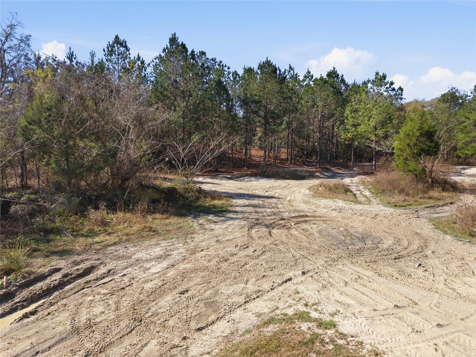 Lot 028 Ne 164th Ln Property Photo 28