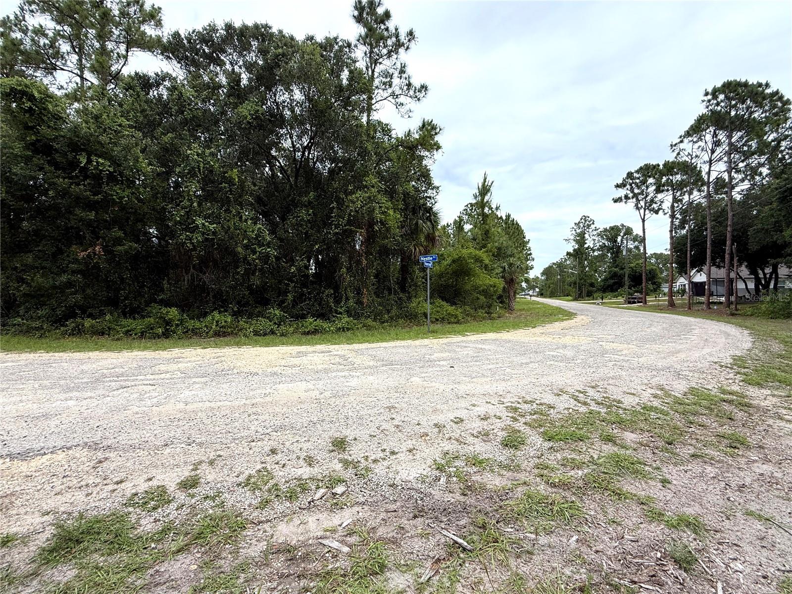 368 Nestle Ave Property Photo 2