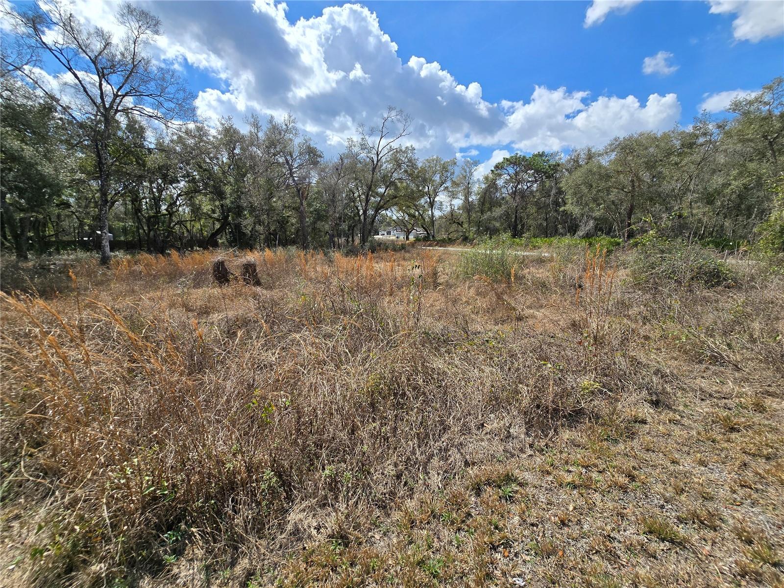 6436 Yam St Property Photo 5