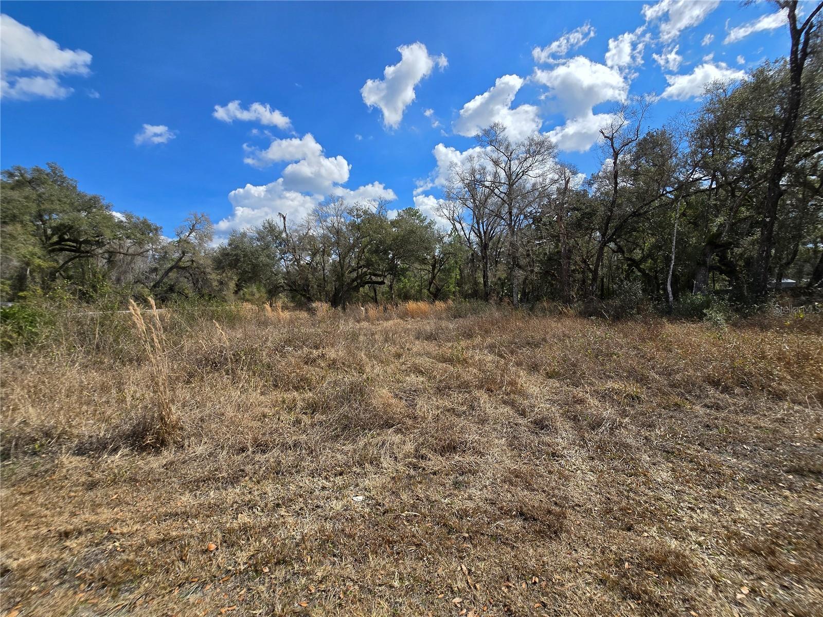 6436 Yam St Property Photo 10