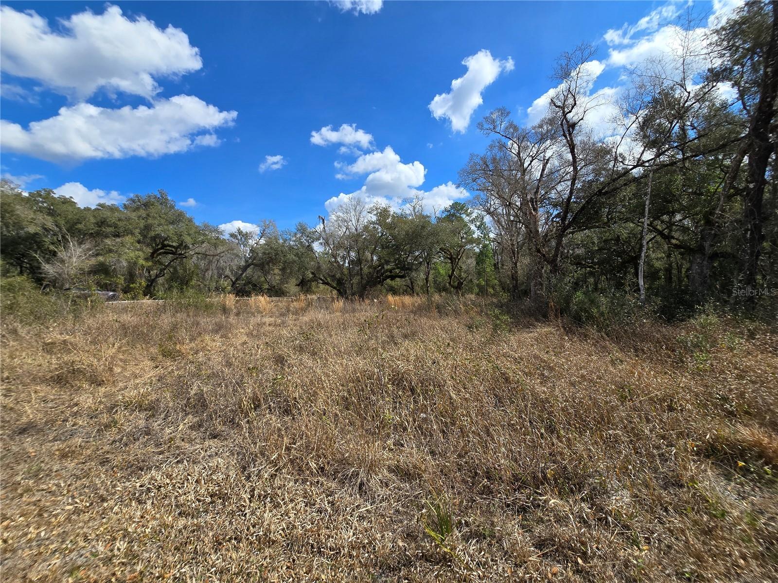 6436 Yam St Property Photo 11