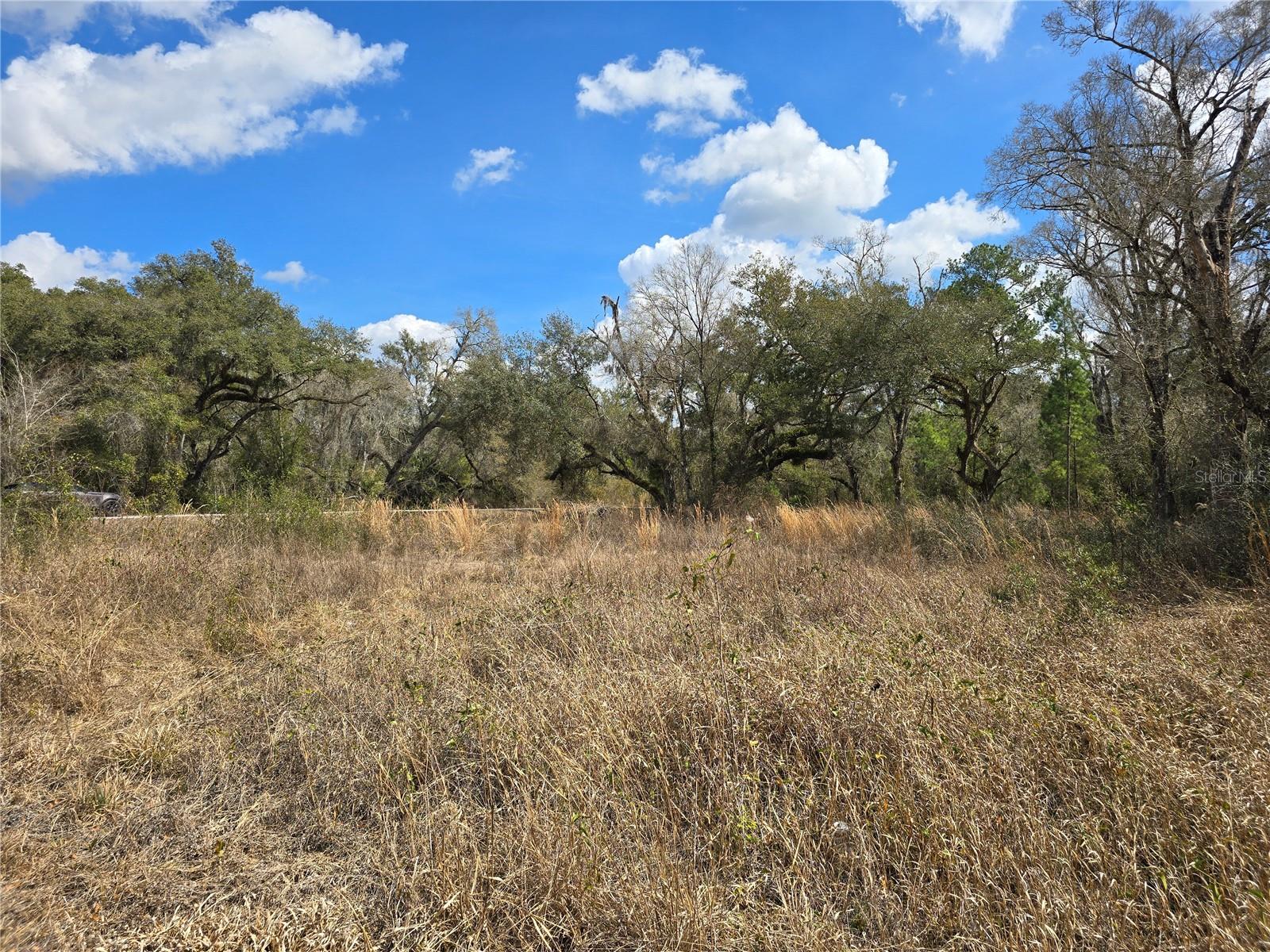 6436 Yam St Property Photo 12