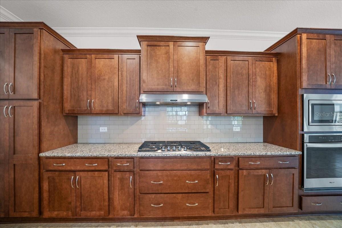 10252 Sw 96th Loop Property Photo 17