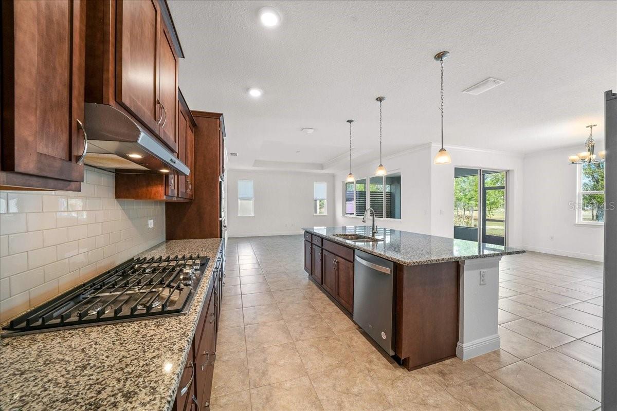 10252 Sw 96th Loop Property Photo 19