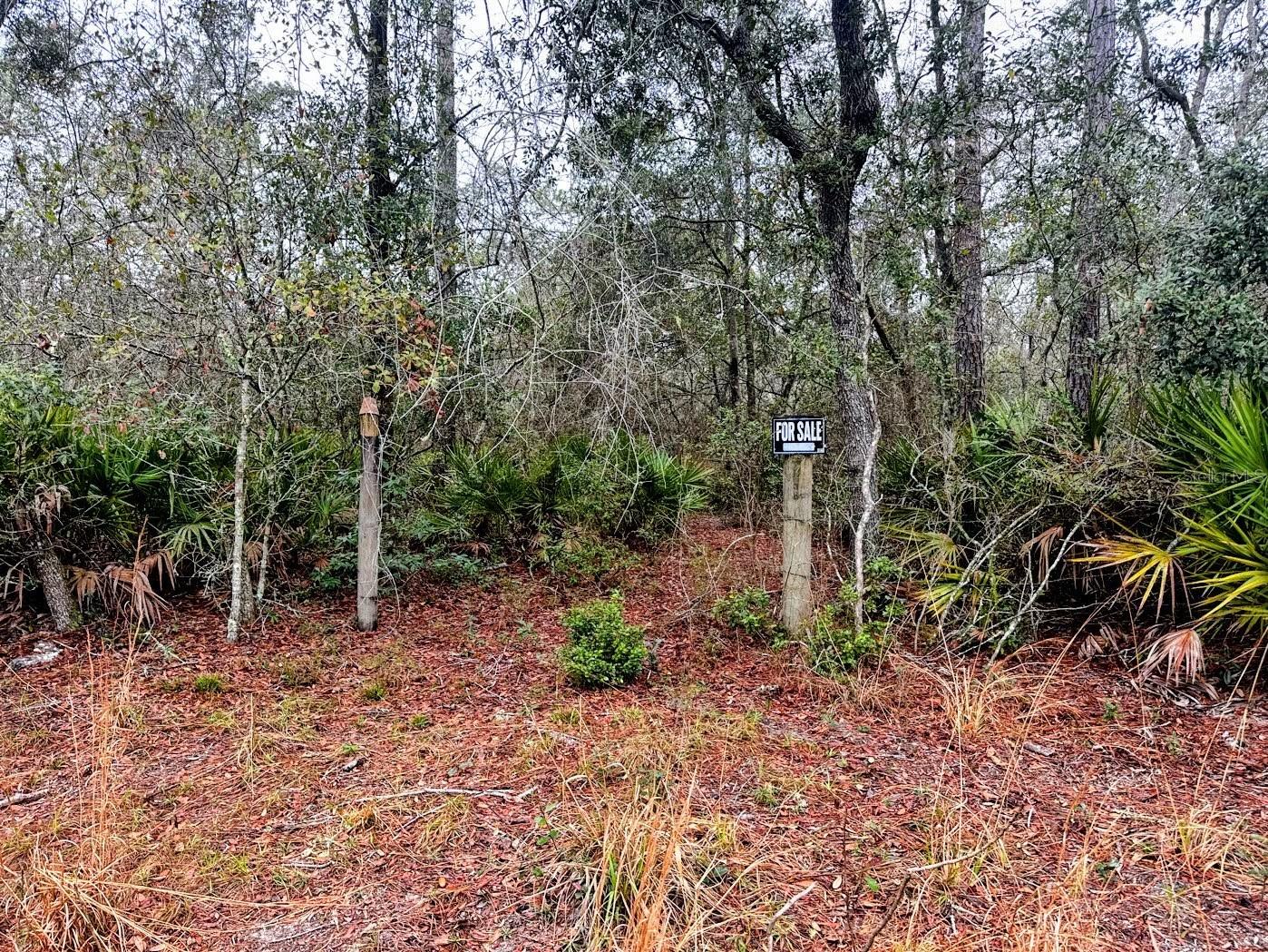 Tbd Off Riverview Rd #9 Property Photo 12