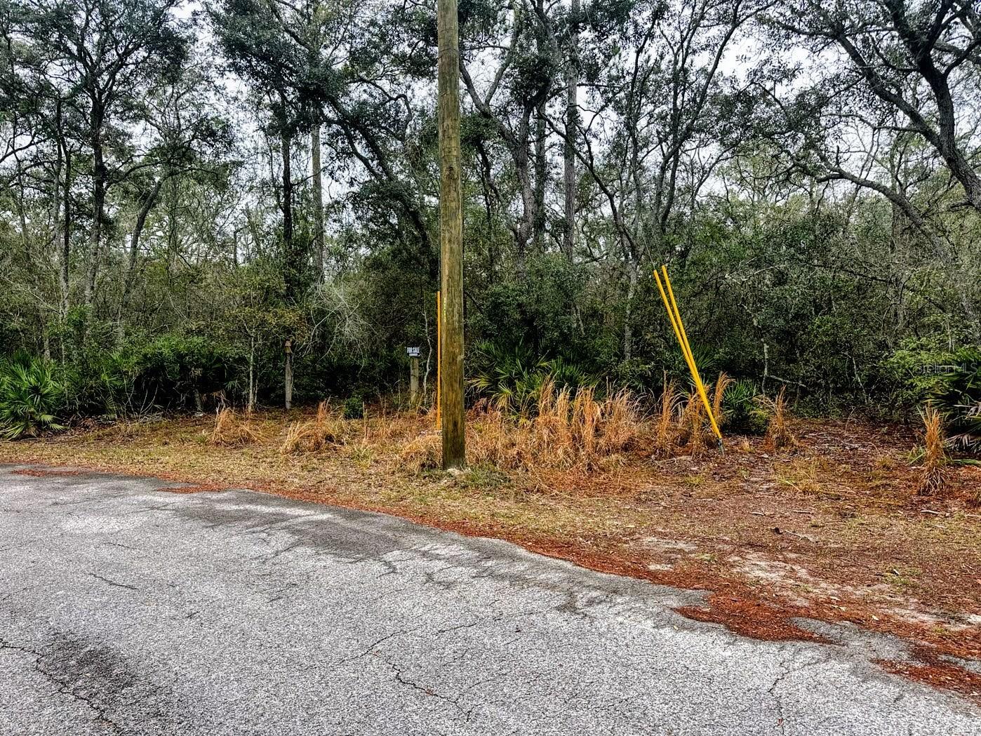 Tbd Off Riverview Rd #9 Property Photo 13
