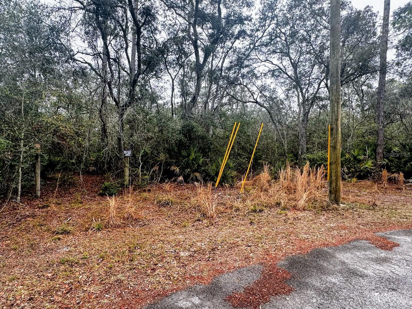 Tbd Off Riverview Rd #9 Property Photo 15