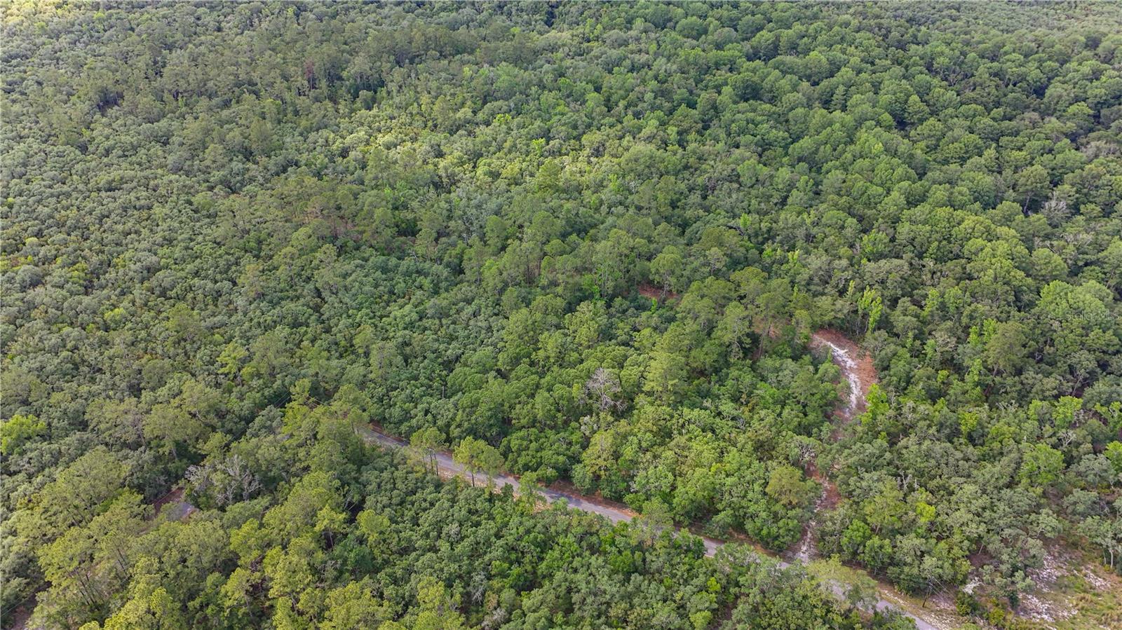 Tbd Off Riverview Rd #9 Property Photo 17