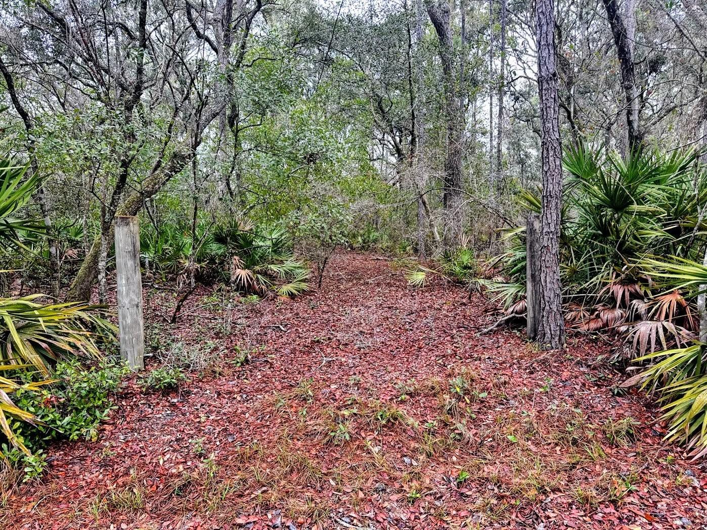 Tbd Off Riverview Rd #9 Property Photo 21