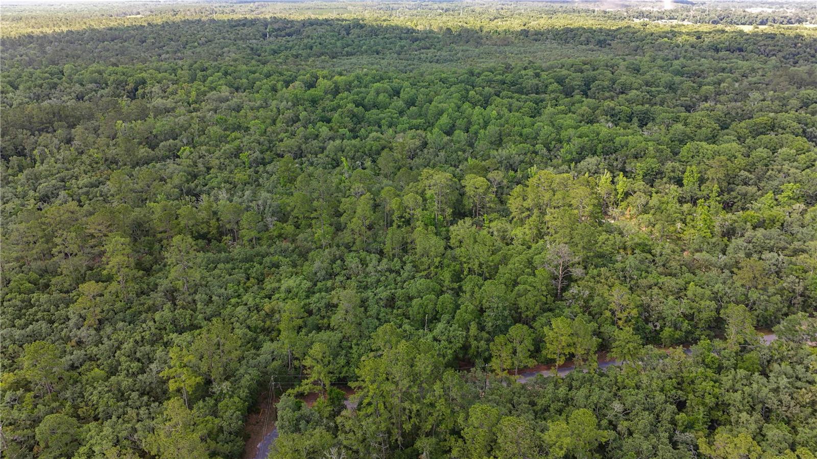 Tbd Off Riverview Rd #9 Property Photo 37