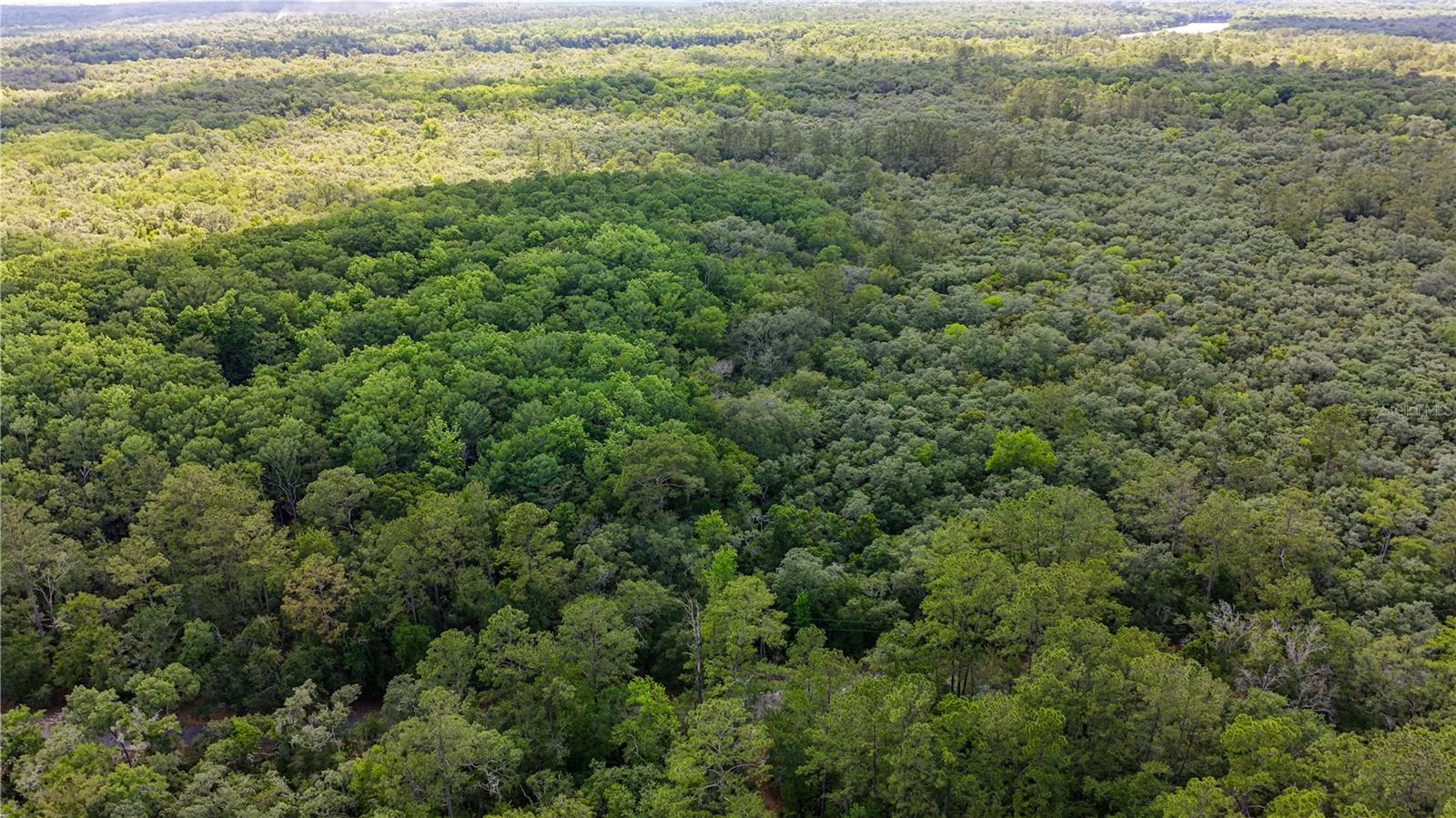 Tbd Off Riverview Rd #9 Property Photo 38