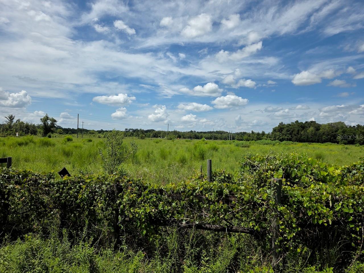 2351 Ne Highway 41 Property Photo 1