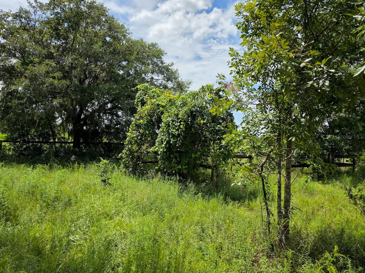 2351 Ne Highway 41 Property Photo 4