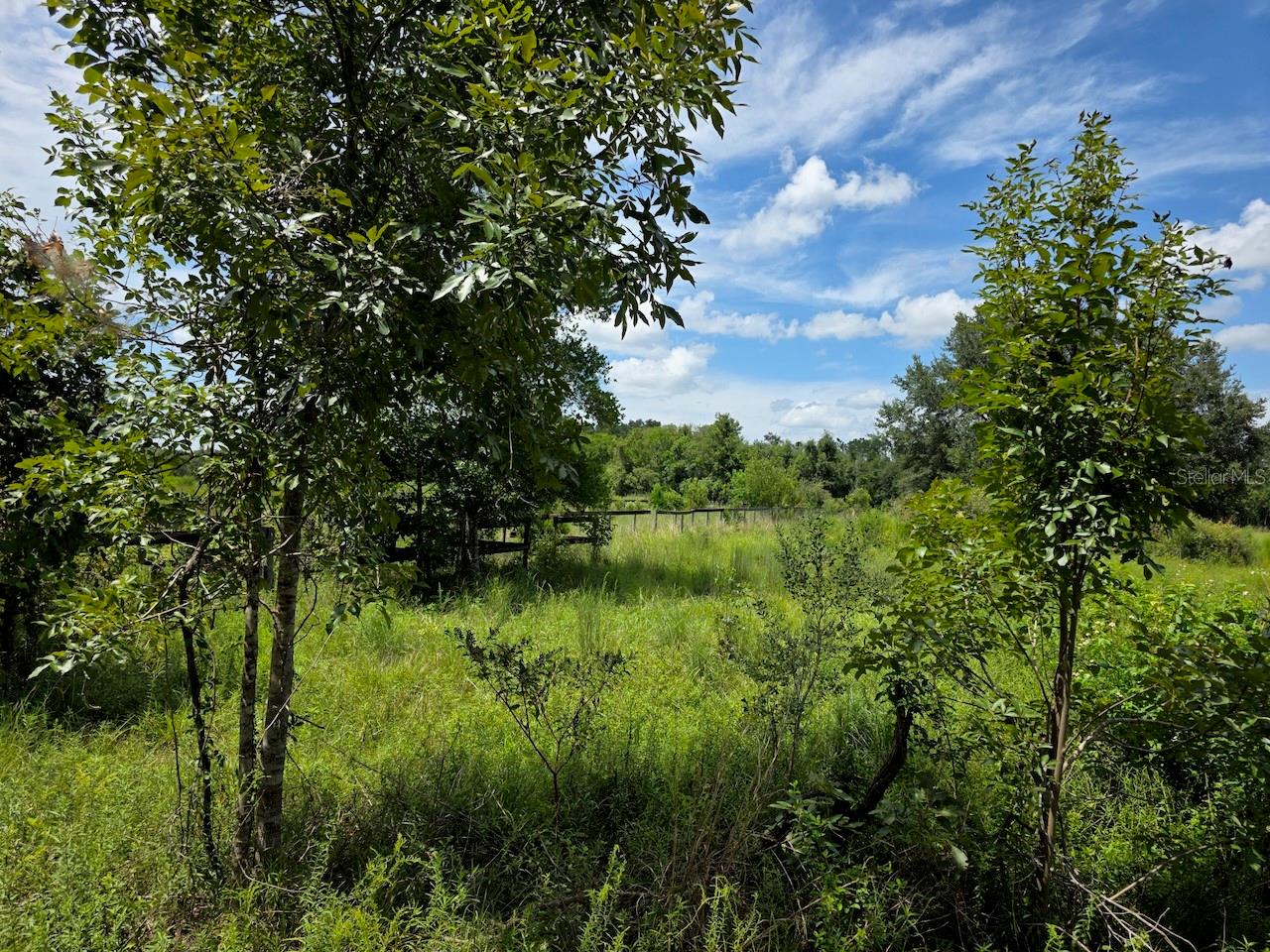 2351 Ne Highway 41 Property Photo 5